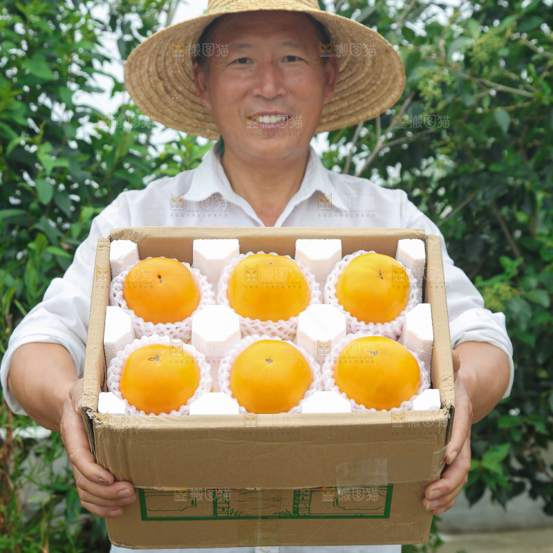 五原黄柿子
