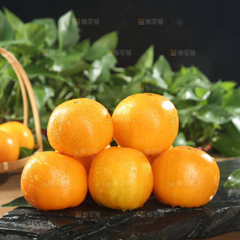 五原黄柿子