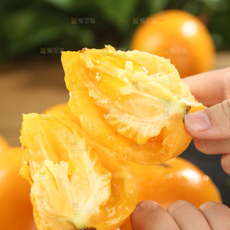 五原黄柿子