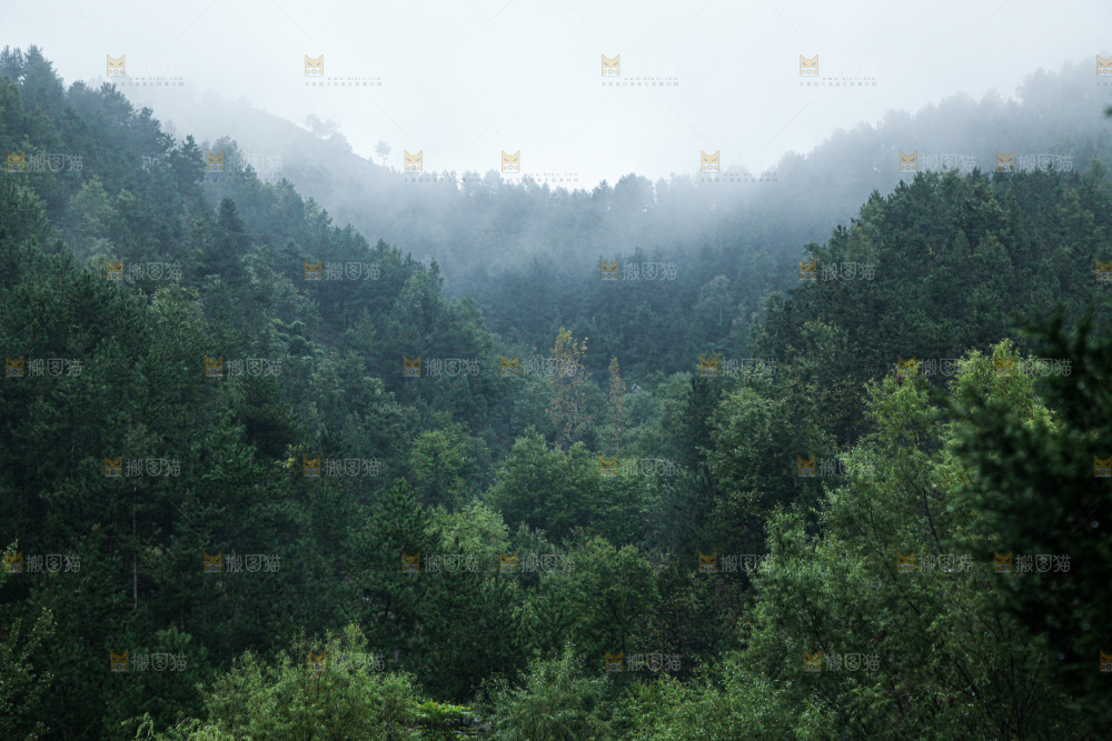 深山风景 云海