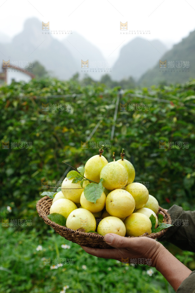百香果产地