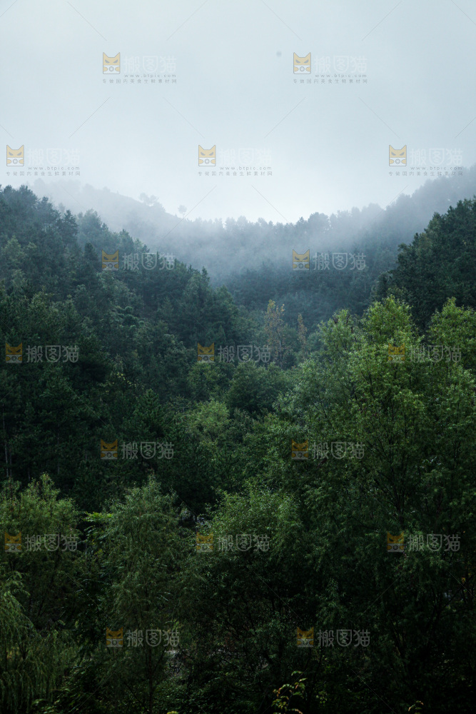 深山风景 云海