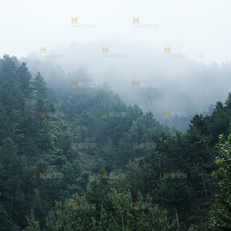 深山风景 云海