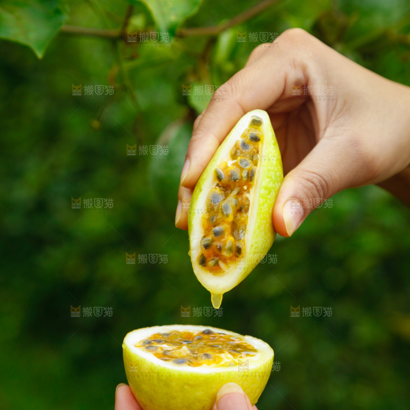 百香果产地