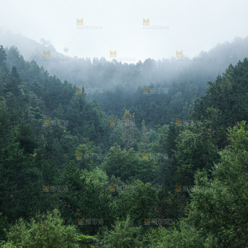 深山风景 云海