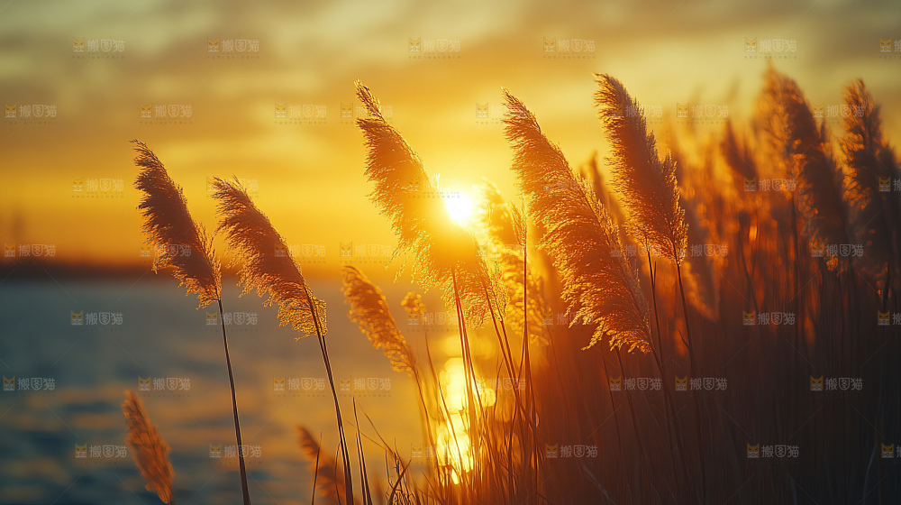 秋日落叶景观场景建筑素材