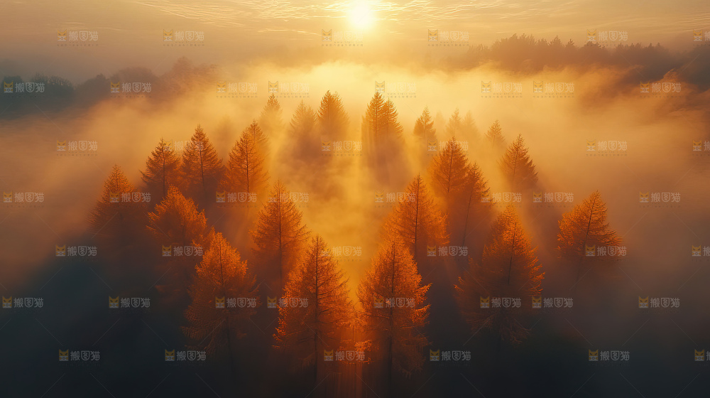 秋日落叶景观场景建筑素材