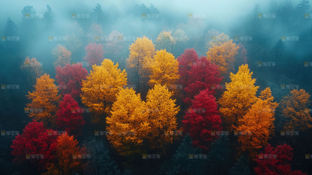 秋日落叶景观场景建筑素材