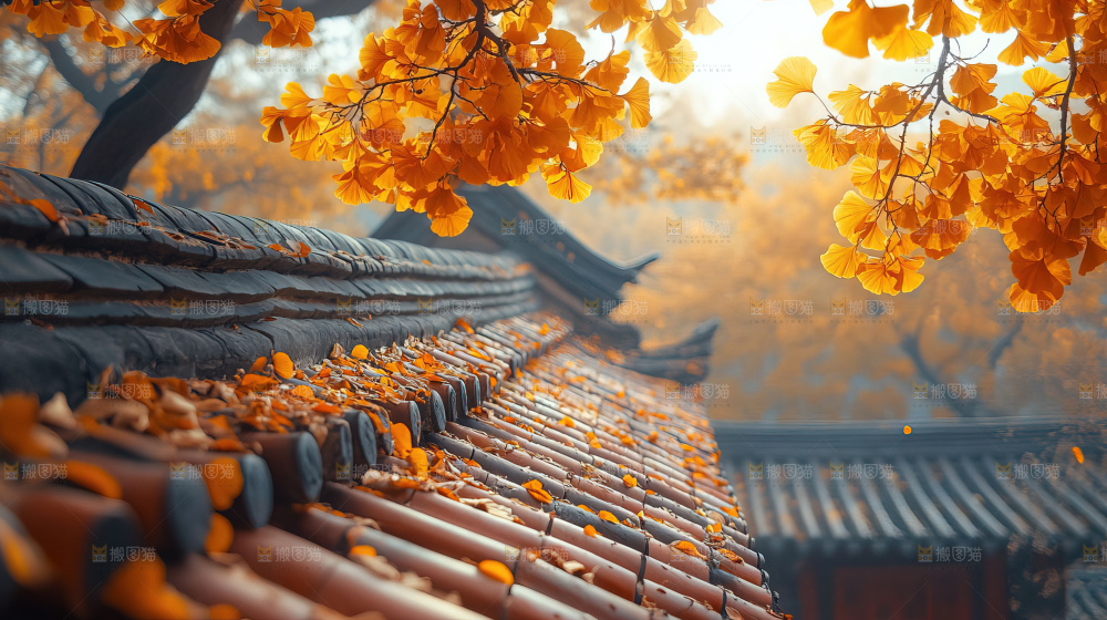 秋日落叶景观场景建筑素材