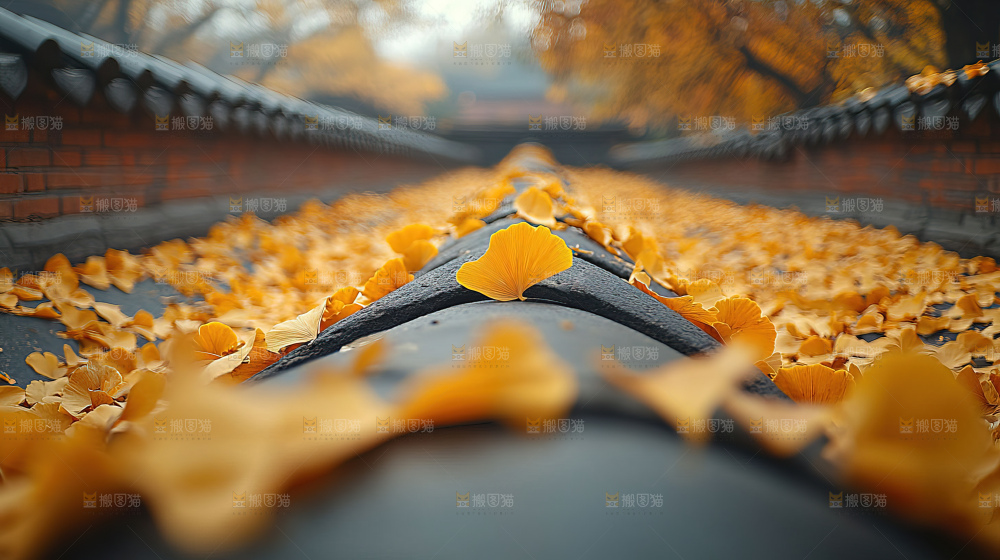 秋日落叶景观场景建筑素材