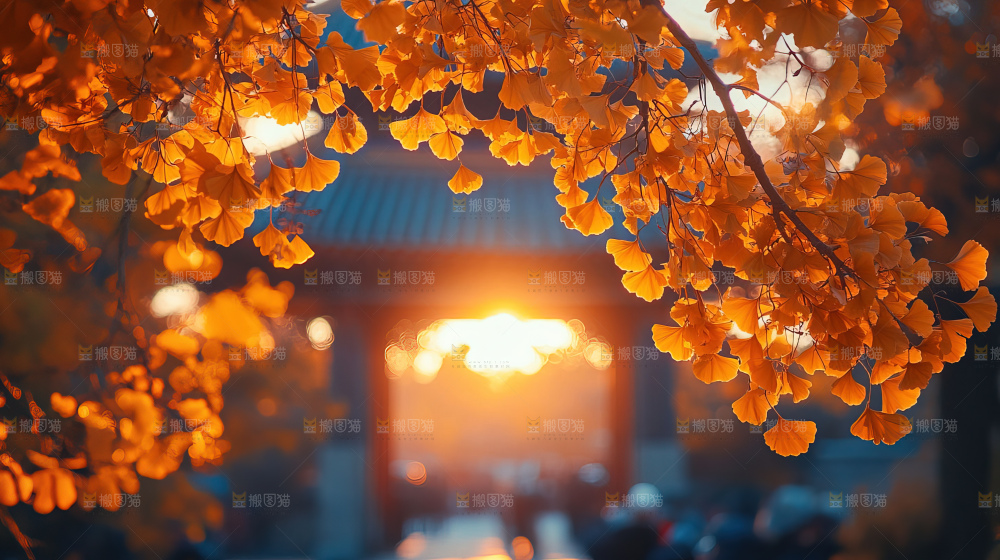 秋日落叶景观场景建筑素材