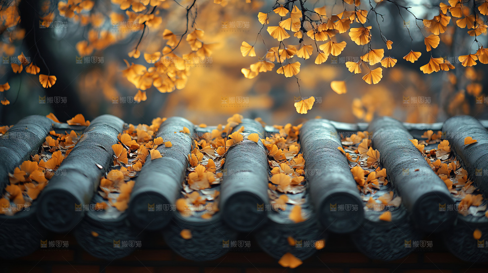秋日落叶景观场景建筑素材
