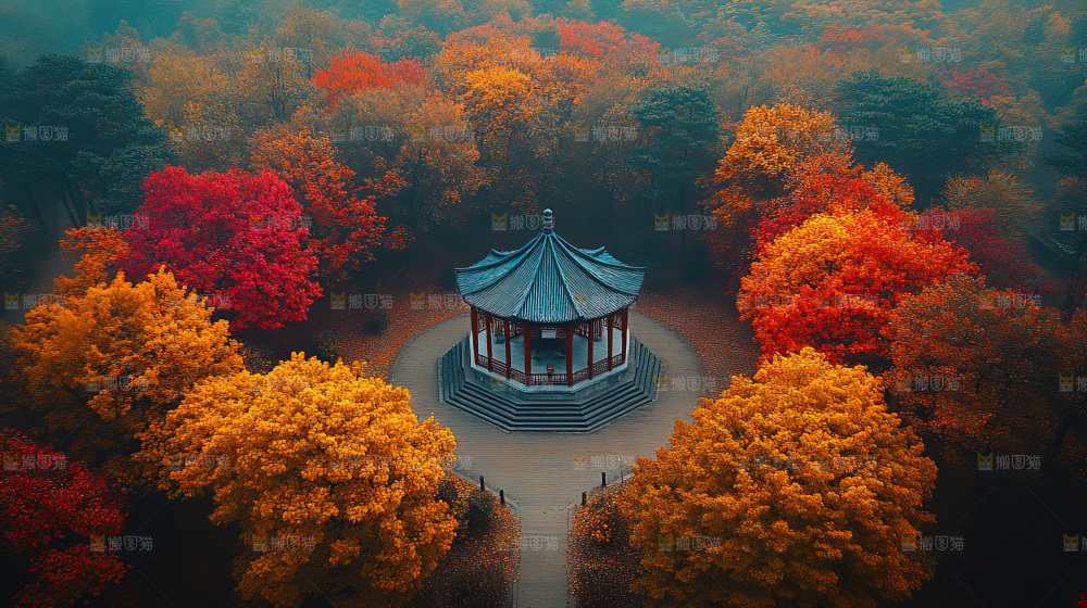 秋日落叶景观场景建筑素材