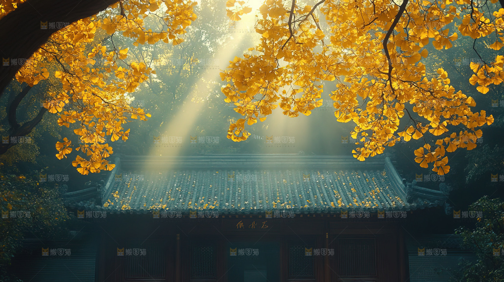 秋日落叶景观场景建筑素材