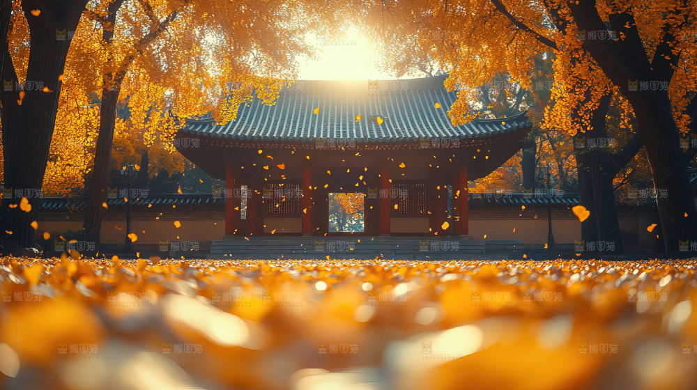 秋日落叶景观场景建筑素材