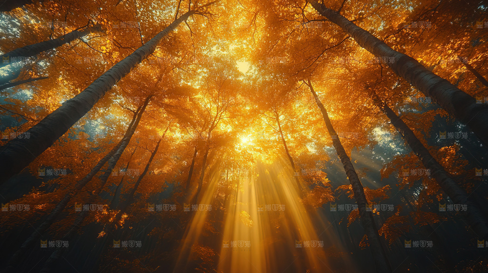 秋日落叶景观场景建筑素材