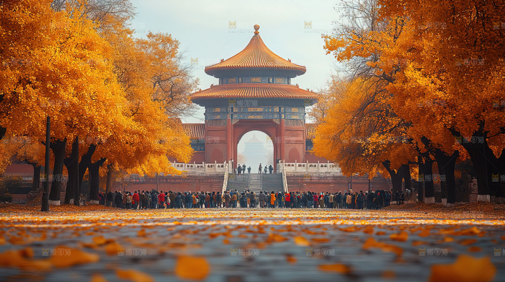 秋日落叶景观场景建筑素材