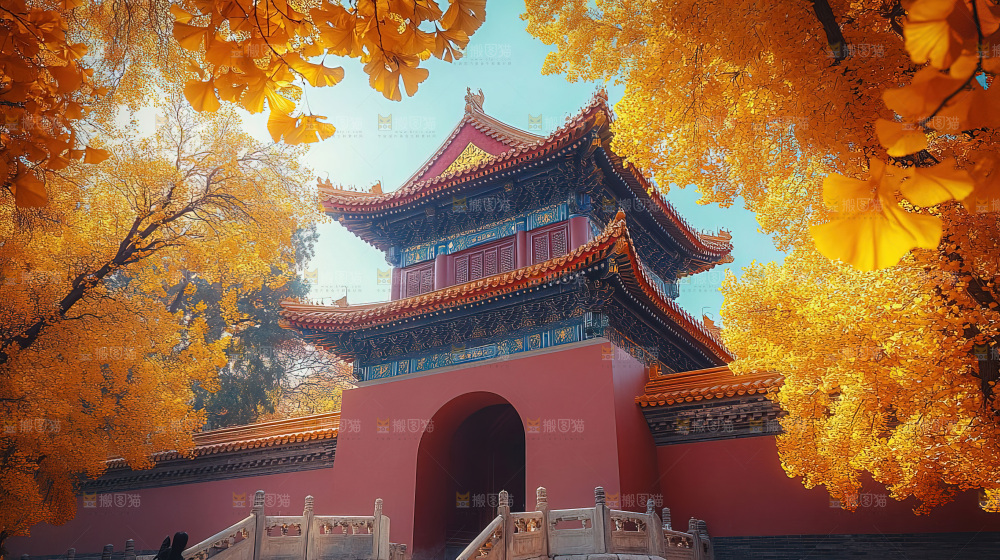 秋日落叶景观场景建筑素材