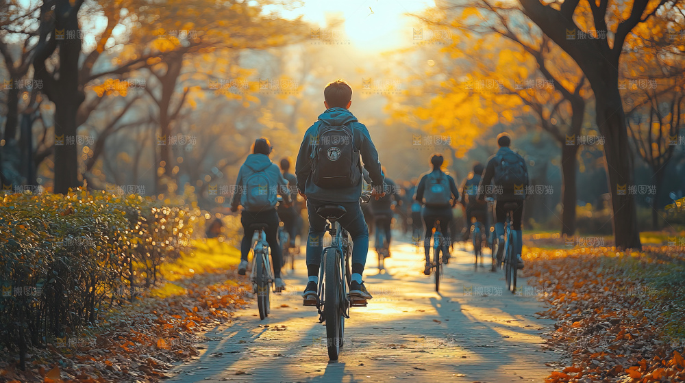 校园林荫小道上的学生
