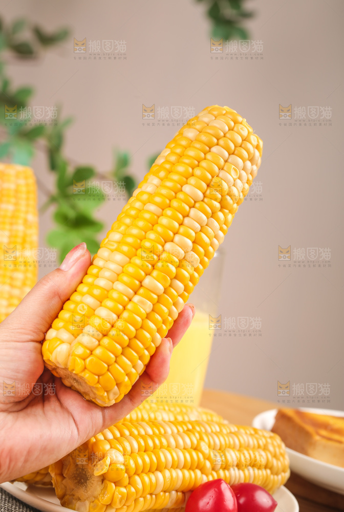 即食玉米
