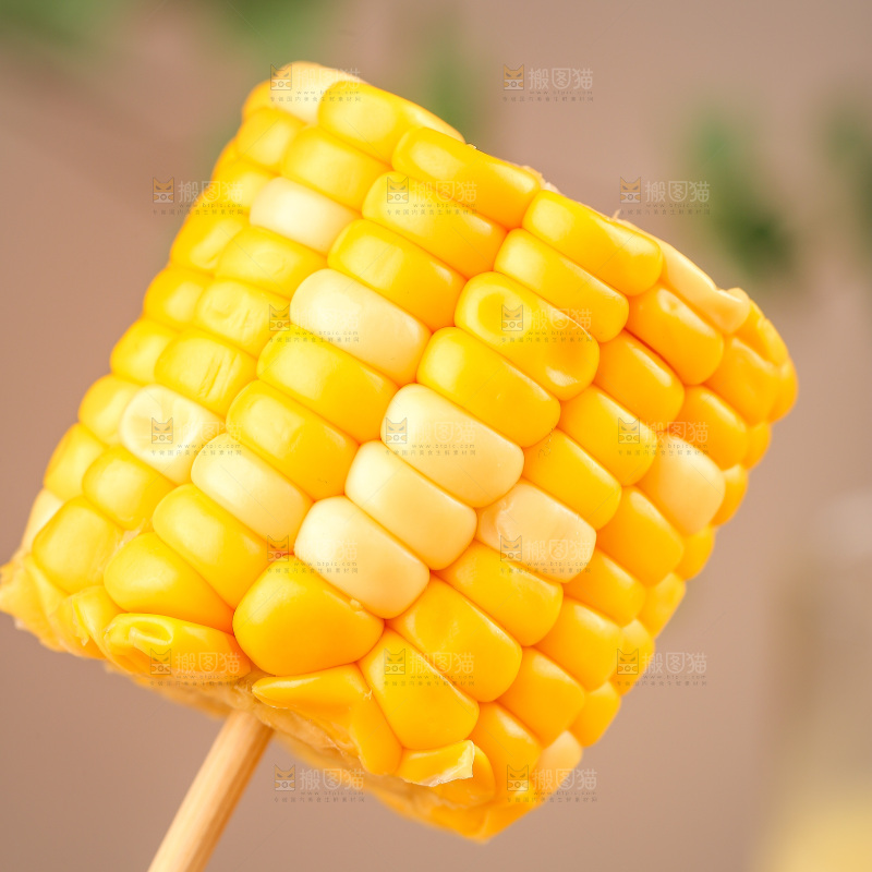 玉米段