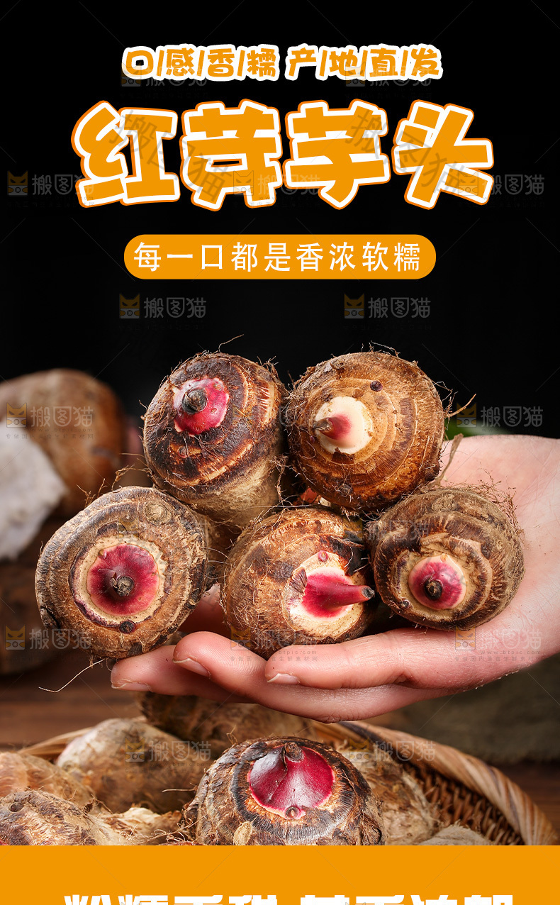 红芽芋详情页