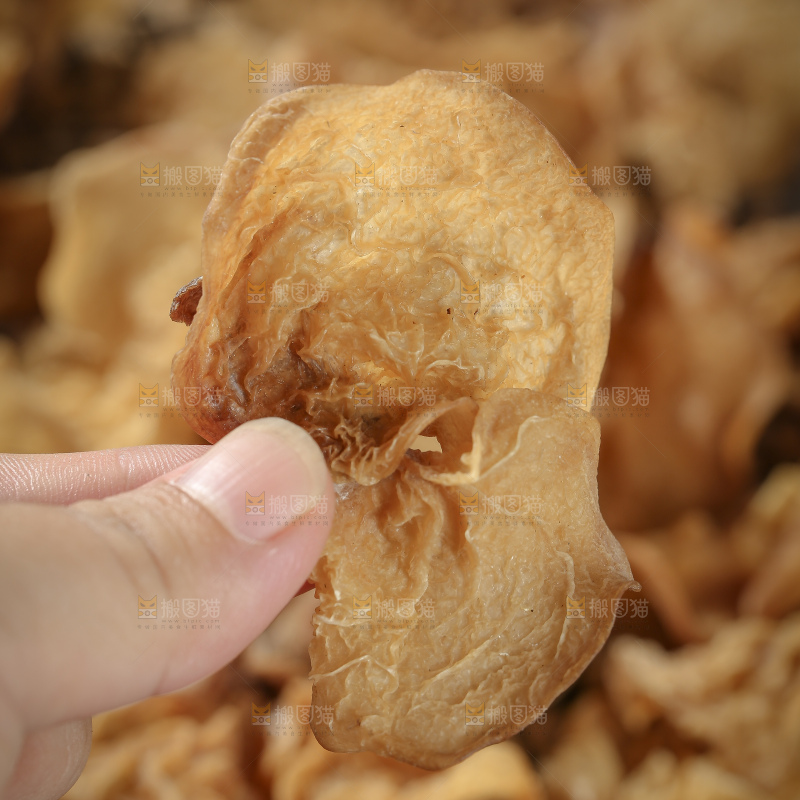 羊肚耳