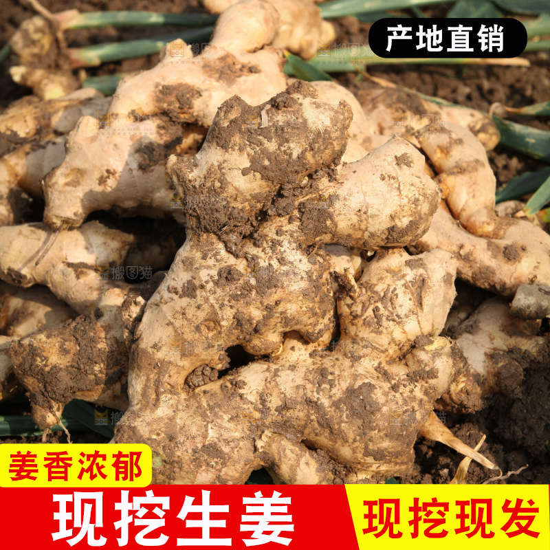 生姜