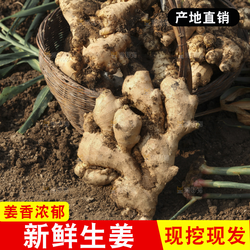 生姜
