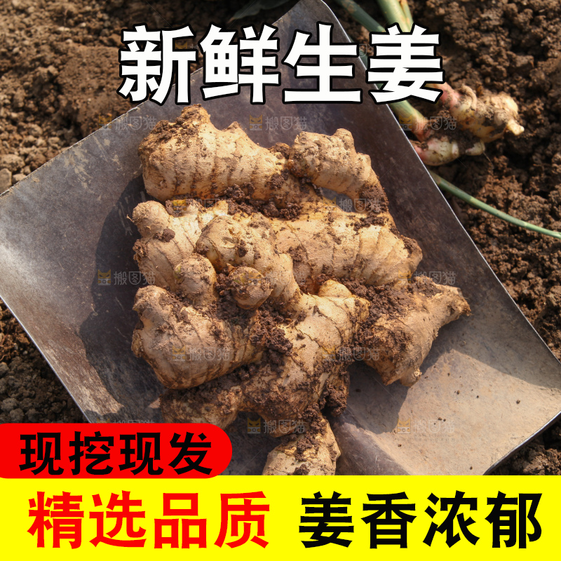 生姜