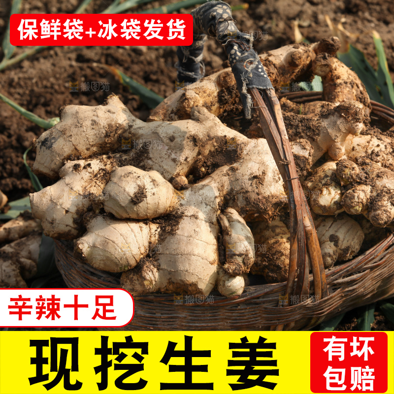 生姜