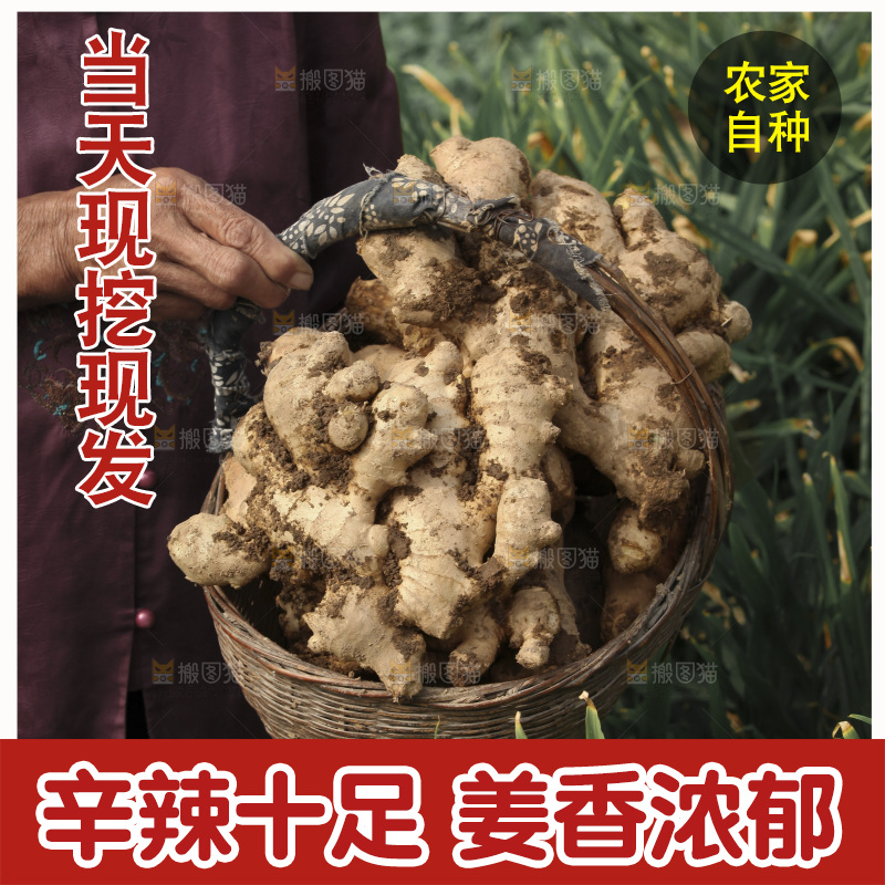 生姜