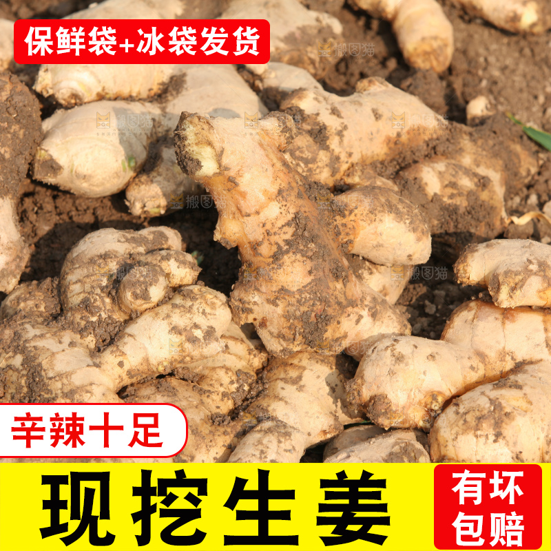 生姜