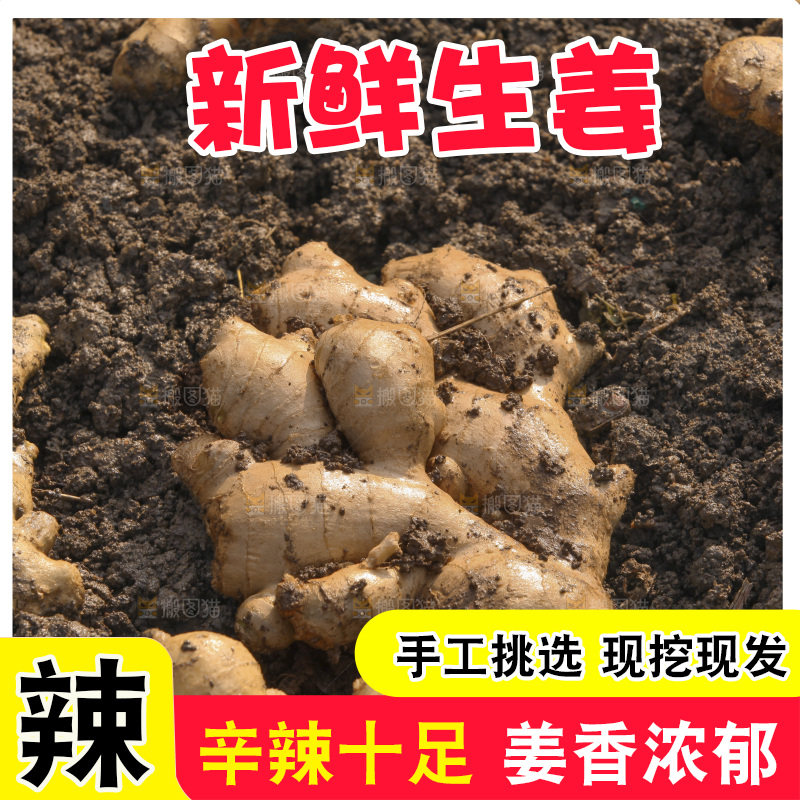 生姜