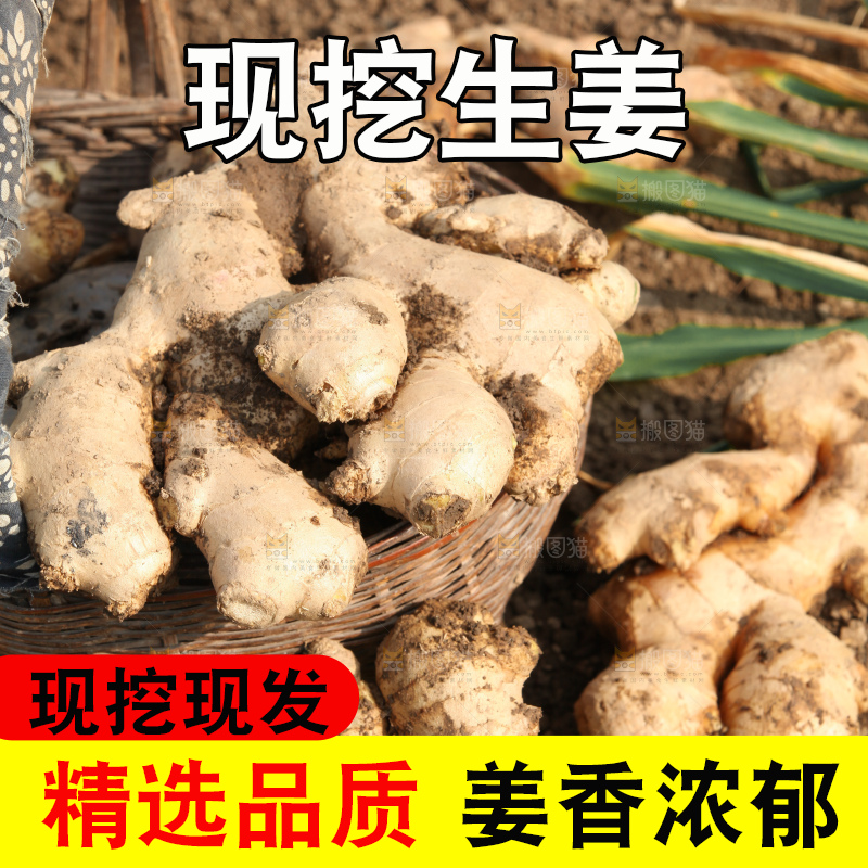 生姜