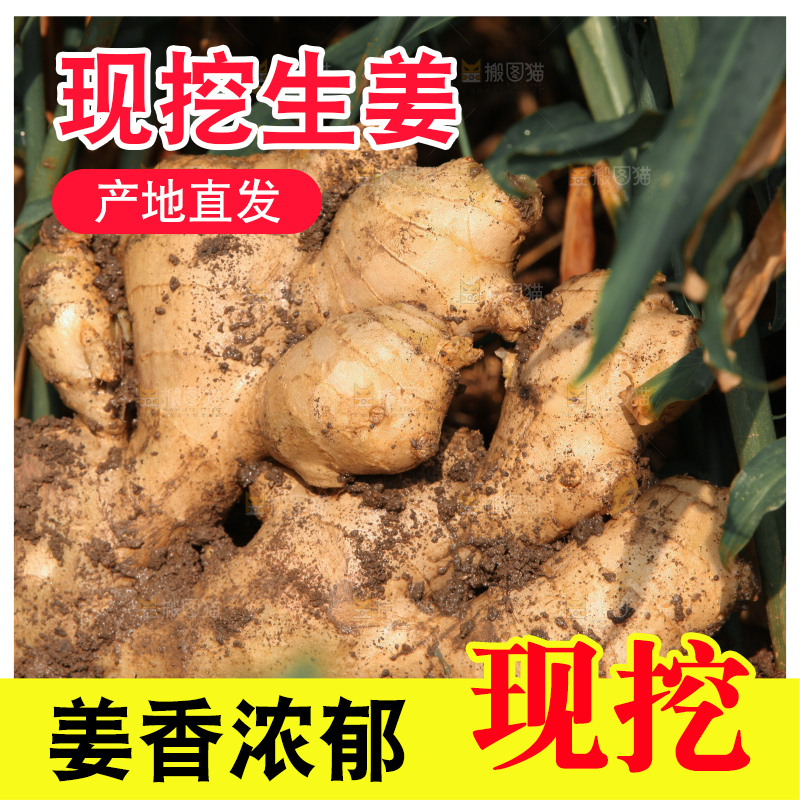 生姜
