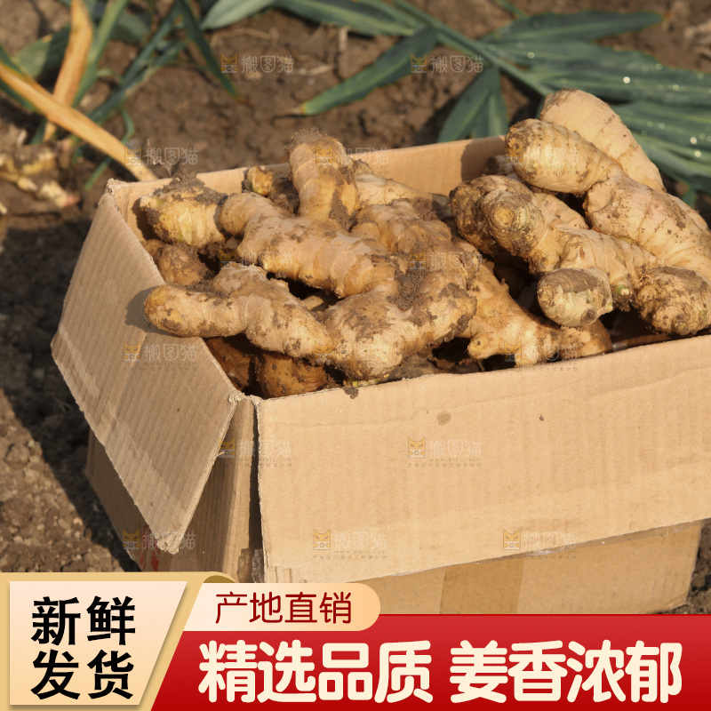 生姜