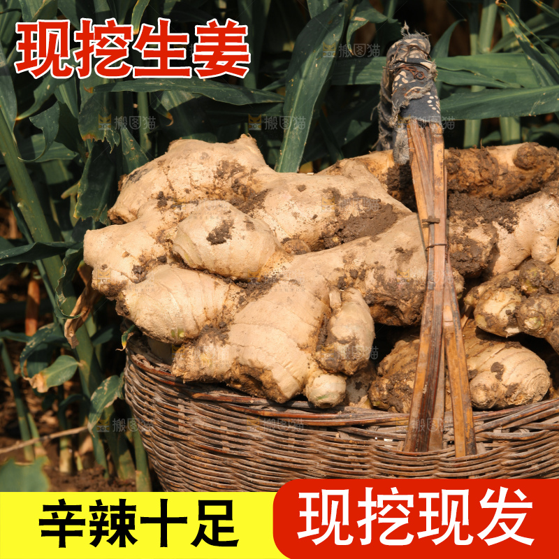 生姜
