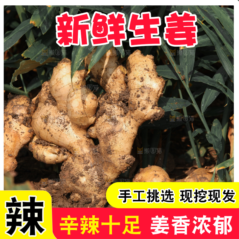 生姜