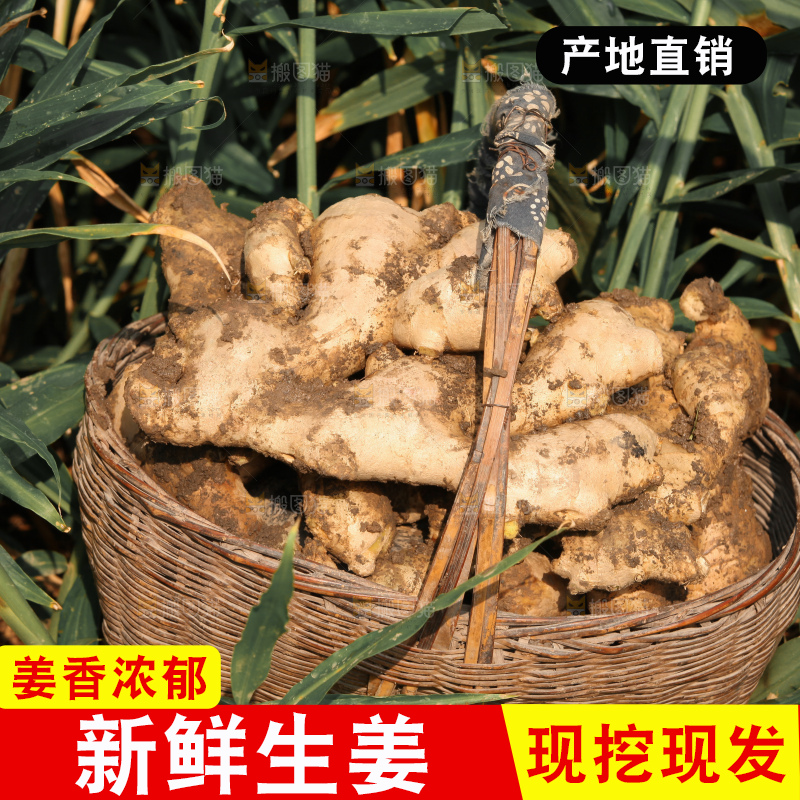生姜