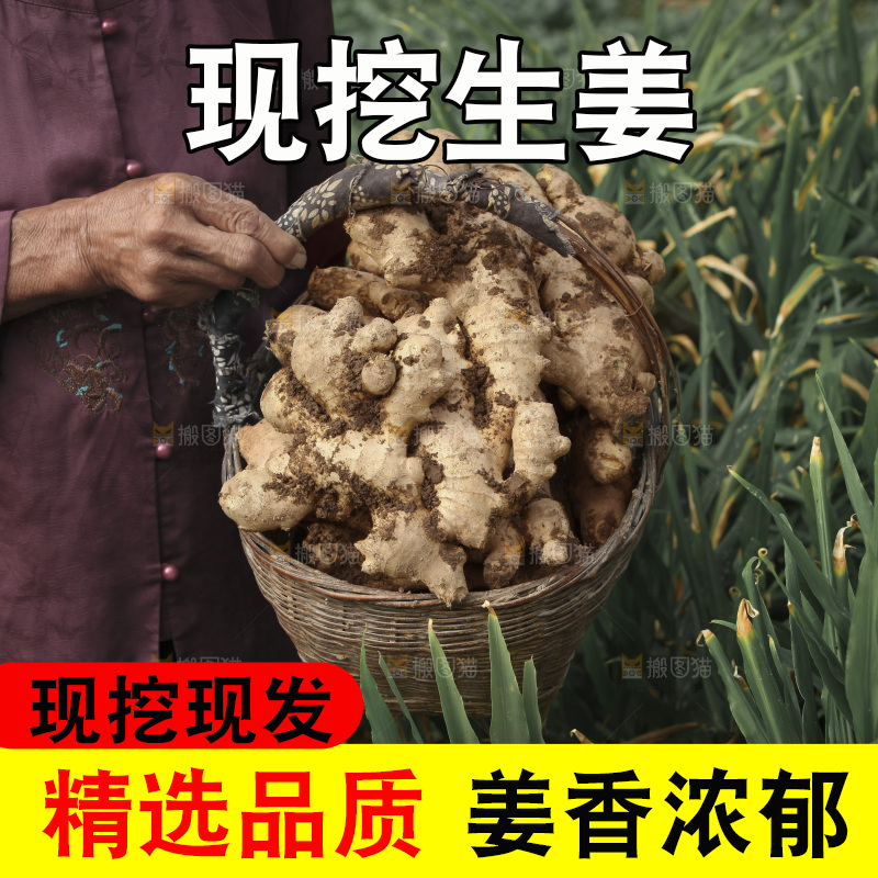 生姜