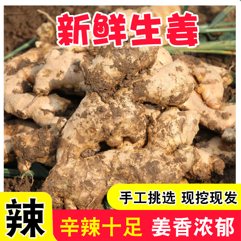 生姜