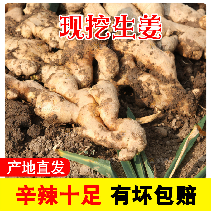 生姜