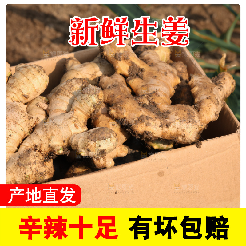 生姜