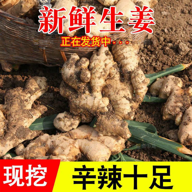 生姜