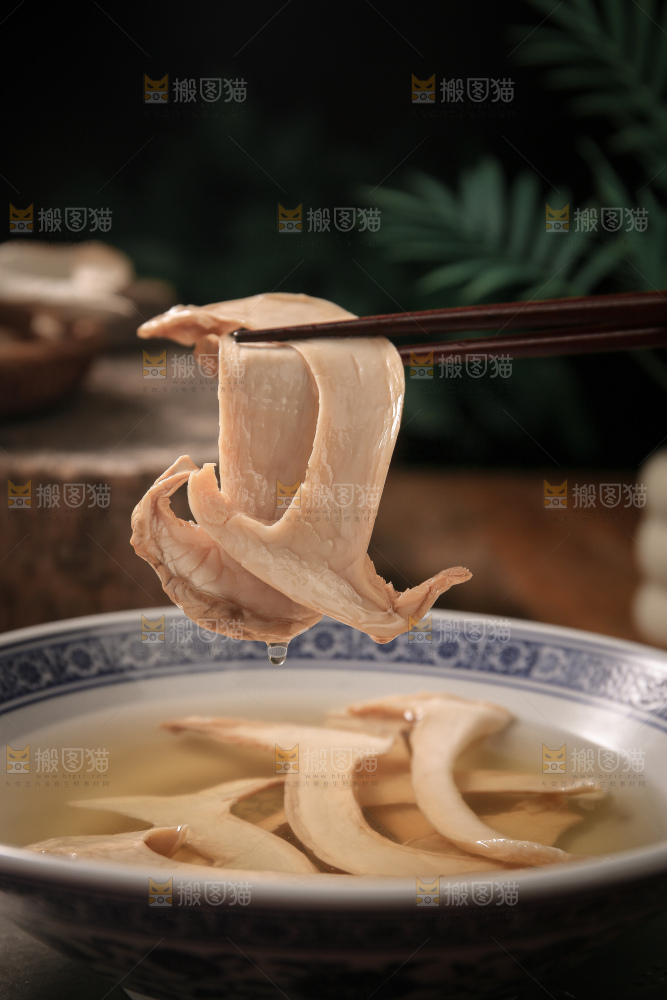 白松茸
