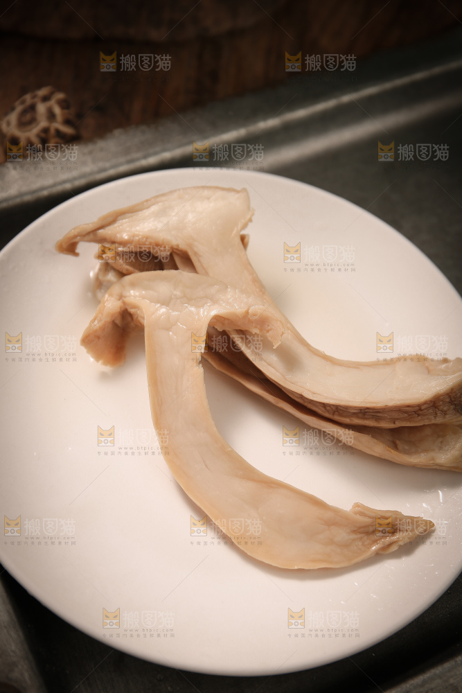 白松茸