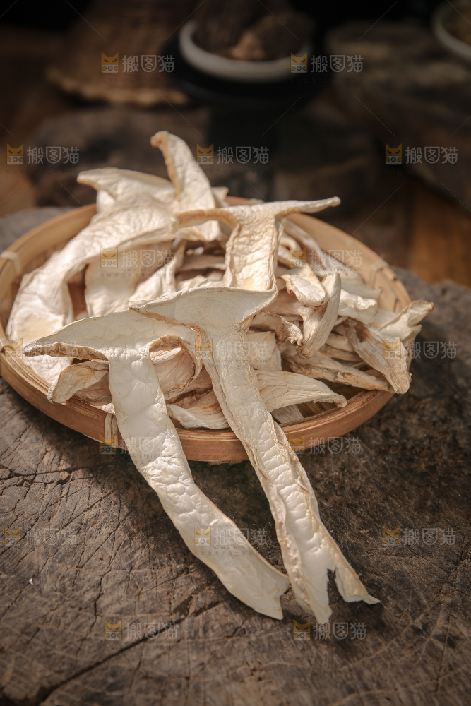 白松茸