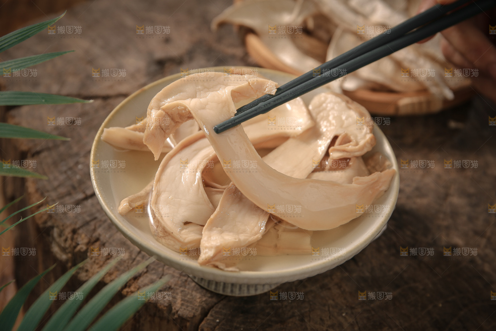 白松茸