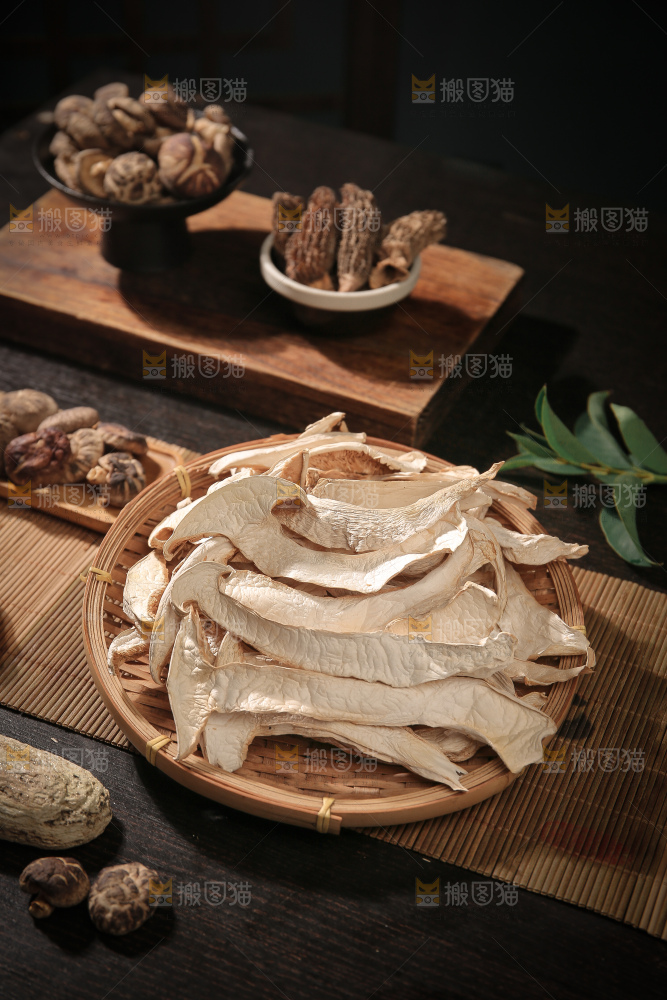 白松茸